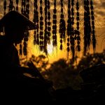 Kerajinan Tangan serta Seni Lokal